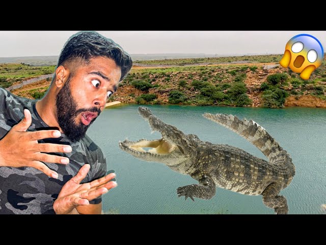 Bahria town unseen dam me crocodile 🐊 😱 syed Fahad | the fun fin |