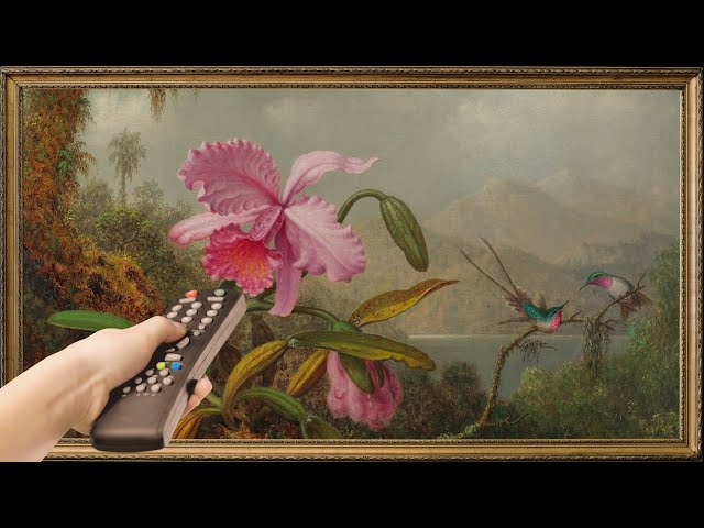 Framed TV Art Screensaver. 4K Vintage Moody Hummingbird Orchid Wallpaper Background Home Decor.