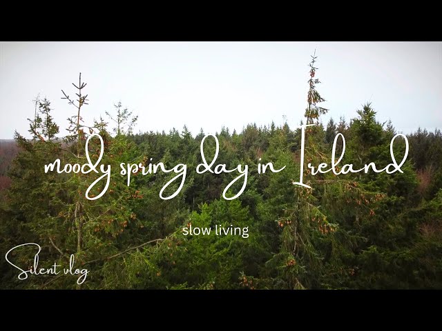 10. Moody spring day in Ireland. Peaceful homemaking. Day in my life. Slow living. Silent vlog.