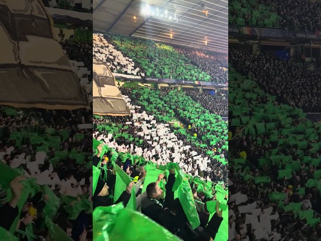 Celtic fans TIFO and atmosphere pre match Young Boys in the Champions League