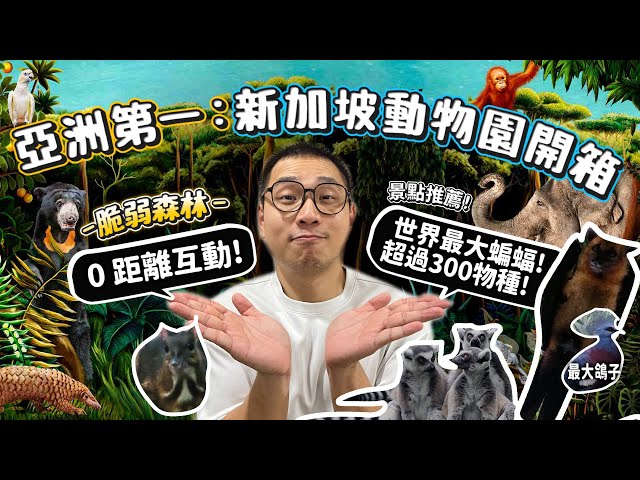 【世界動物園開箱】亞洲第一新加坡動物園!"脆弱森林"開箱!0距離互動!世界上最大蝙蝠!展翅2公尺!比人還大?0距離互動!一次科普35種動物!【許伯簡芝】