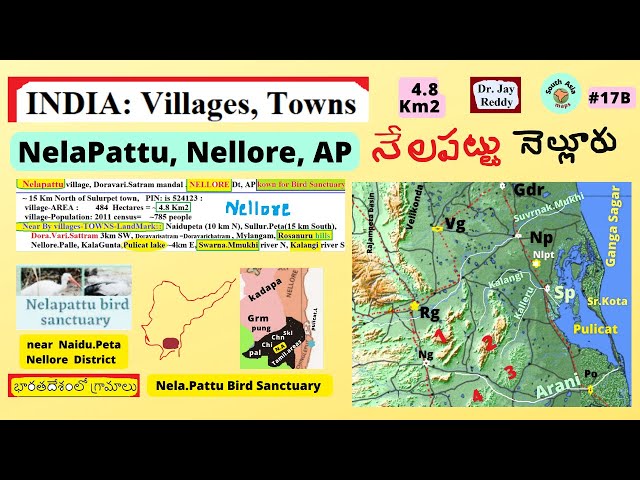 INDIA: Towns, VILLAGES :#17: Nelapattu Bird Sanctuary, Sulurpet, NELLORE ,  Tiripat Dt, AP: J REddy