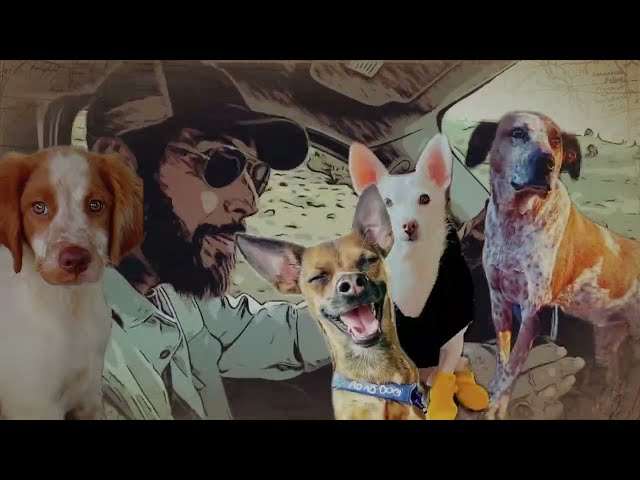 Skip Ewing - "Road Dog" - (Official Music Video)