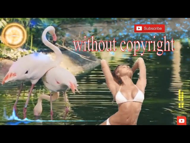 Best Shuffle Dance music 2020 top live listen  #withoutcopyright № 16