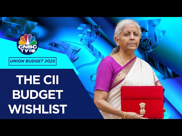 Union Budget 2025: Industry Seeks Higher Capex Budget, Sops To Boost Demand | Nirmala Sitharaman