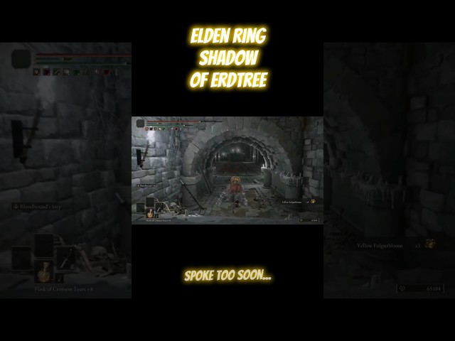 Obviously loving Shadow o Erdtree😁🤗 #eldenring #erdtree #darksouls #sekiro #bloodborne #eldenringdlc