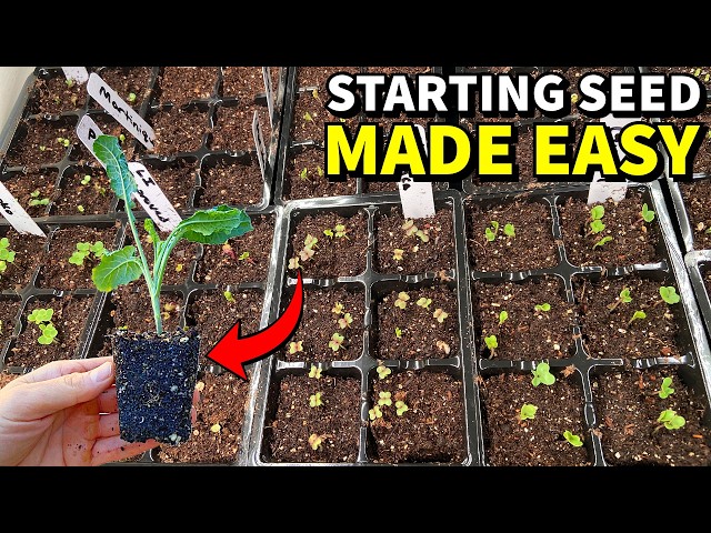 This Method Makes SEED STARTING For Beginners EASY!