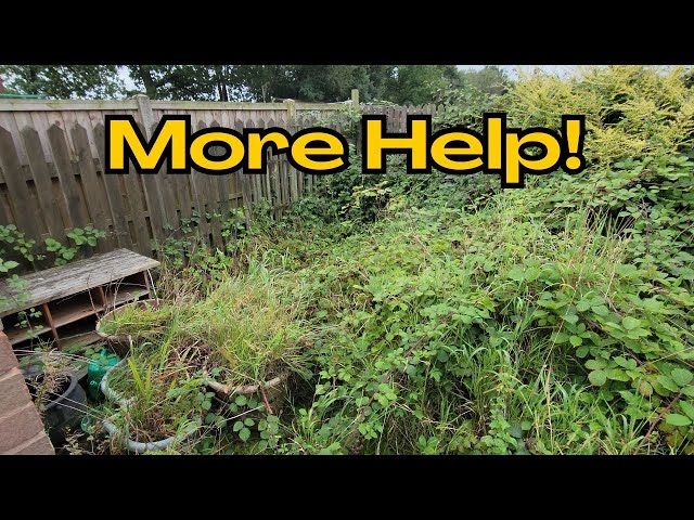 New Mum needs more HELP! Overgrown Garden Still Needs Work | Landscape TRANSFORMATION & Clean Up