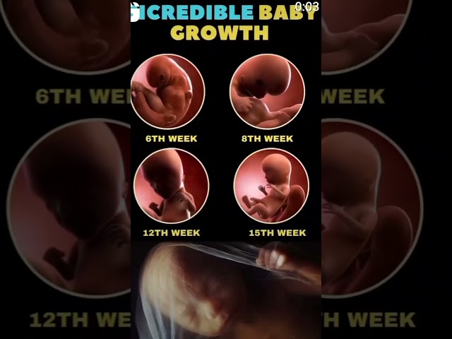 Increadible baby growth