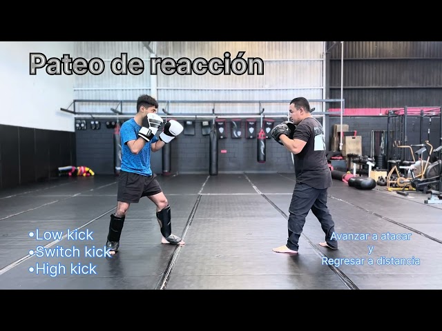 Pateo de reacción (nivel básico)