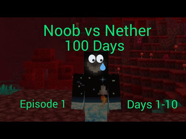 Noob's 100 Days in The Nether, Episode 1