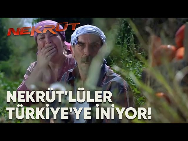 Nekrüt'lüler Türkiye'ye İniş Yapıyor | Nekrüt (2008) | Yerli Film | Weco Film