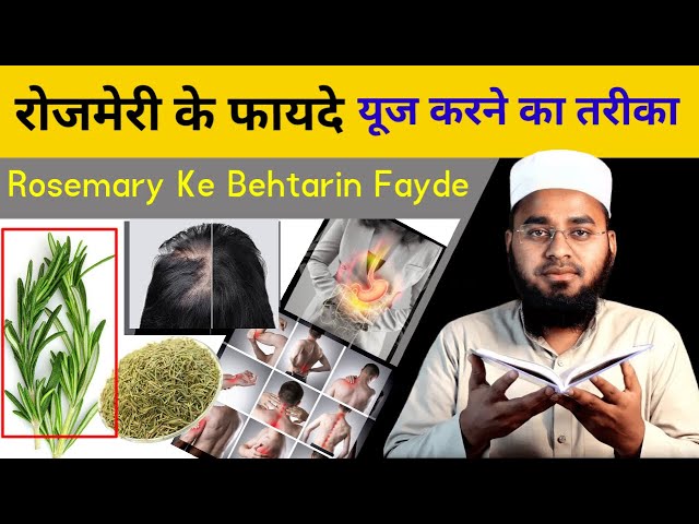 Rosemary Ke Hairan Kun Fayde | Rosemary Benefits and Uses | Rosemary For Hair | Sajid Faizi