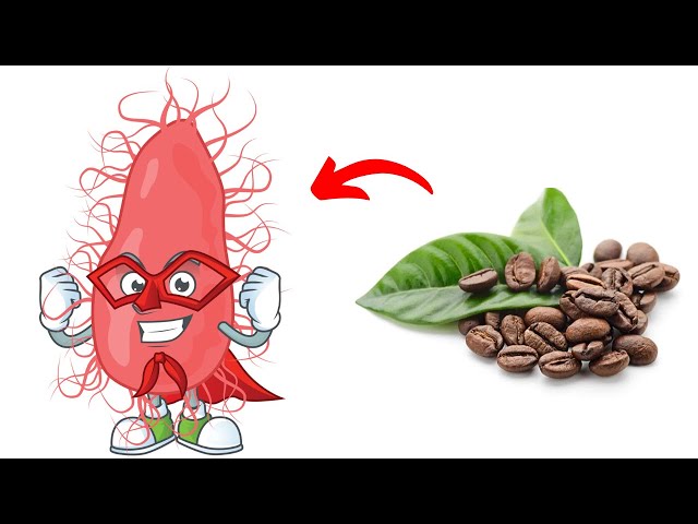 Home remedy to reduce cholesterol! Reduce Cholesterol Immediately!