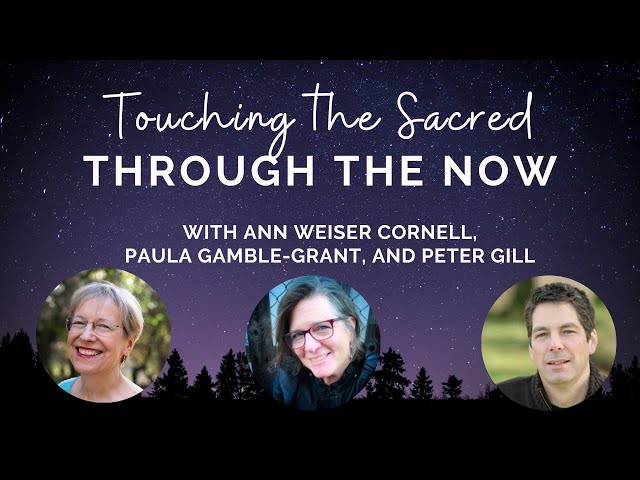 Touching the Sacred Through the Now - Webinar