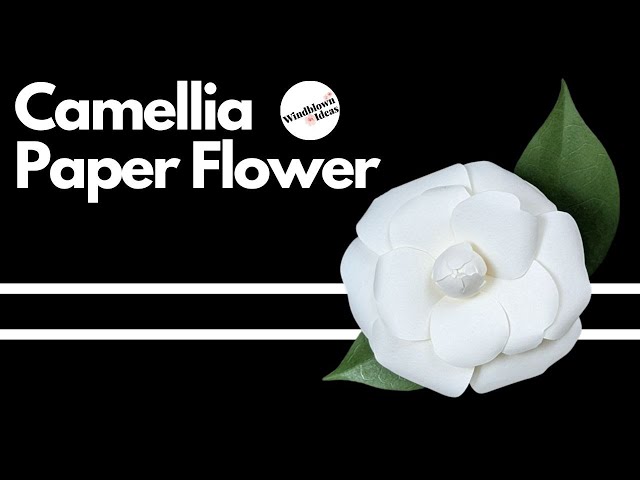 How to make Paper Flower Camellia | Papercraft DIY