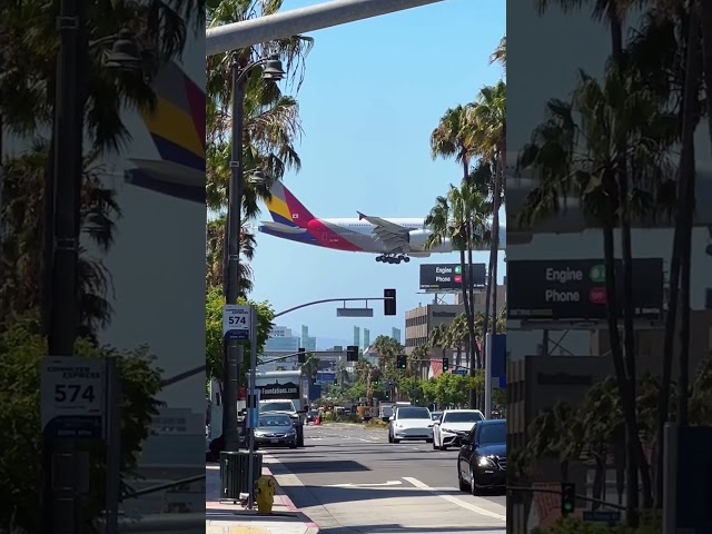 [아시아나항공] 제79주년 광복절 LAX, A380🇰🇷