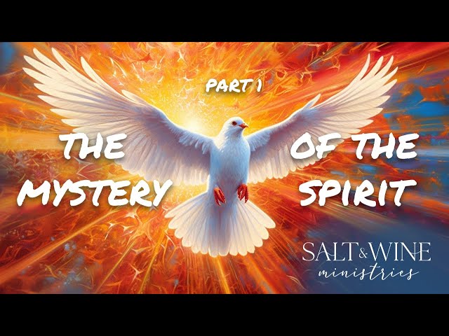 Should You Be Baptized in the Holy Spirit?