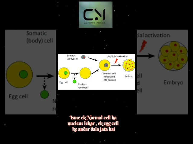 Somatic cell Nuclear transfer: UPSC insights ✨ #upsc #ias #ips #ifs #shortvideo #shorts #biology