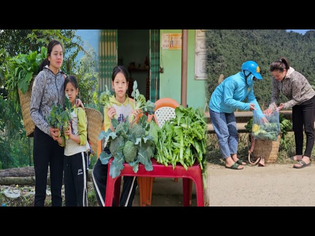 Uyen and Luu harvest vegetables to sell first in 2025, hoping for a successful year.