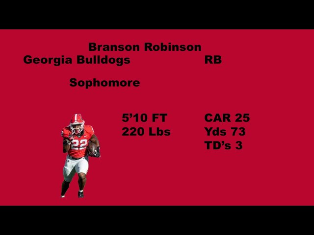 Branson Robinson Georgia Bulldogs 2024 Highlights