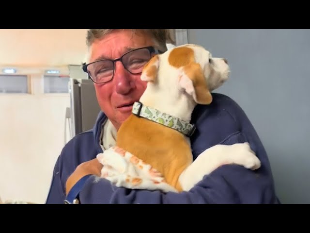 Best New Puppy Surprise Ever! 🐶 Wholesome Surprise Moments