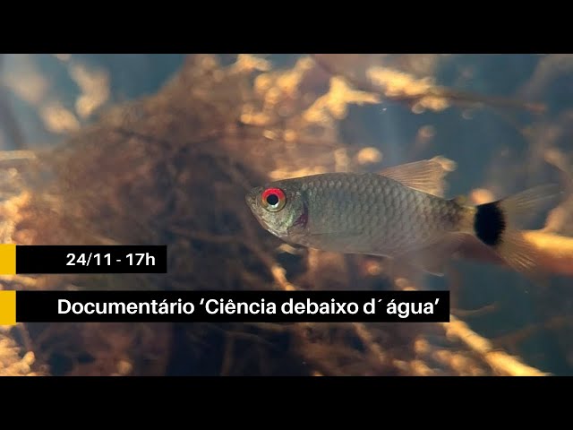 Documentário I "Ciência Debaixo D’Água"