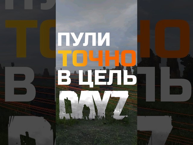 Dayz Life hack | Пули в точку Дейз #dayz #dayzpvp #дейз