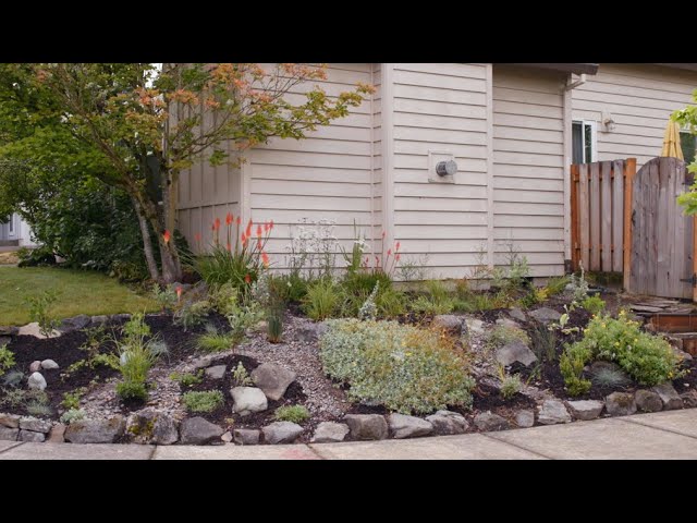 How to Build a Rain Garden | Urban Conservation