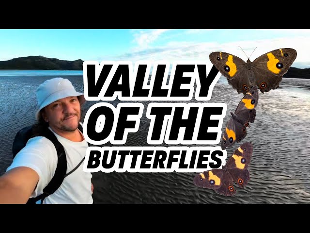 Valley Of The Butterflies