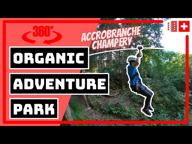 🇨🇭🪐🌲 [ORGANIC ADVENTURE PARK] ACCROBRANCHE IN CHAMPÉRY NEXT TO THE DÉFAGO GALERY