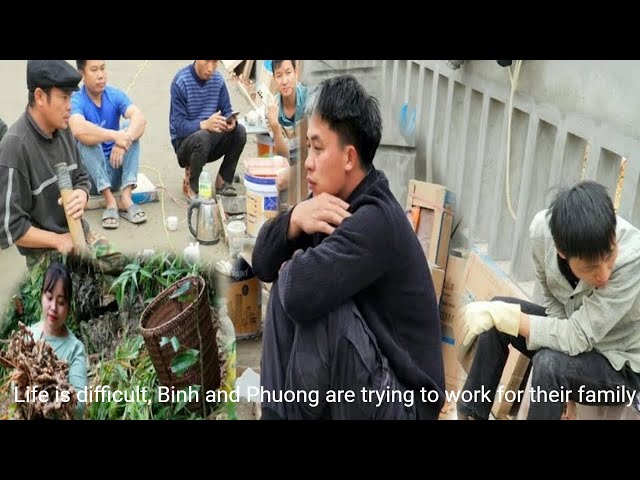 Life is difficult, Binh and Phuong are trying to work for their family