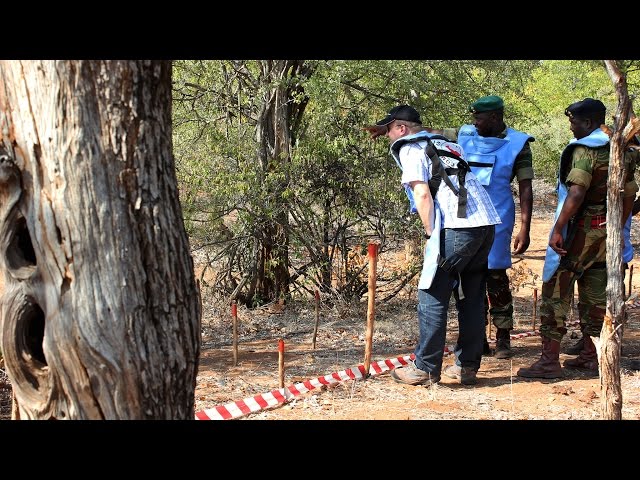 Double stretch: The journey to clearing Zimbabwe’s landmines