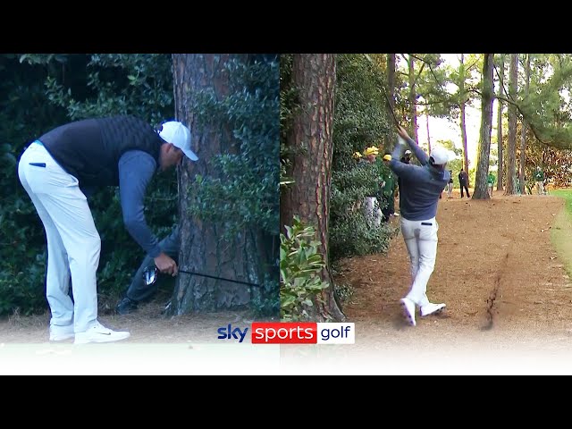 Scottie Scheffler loses ball in bushes, then hits unbelievable shot!