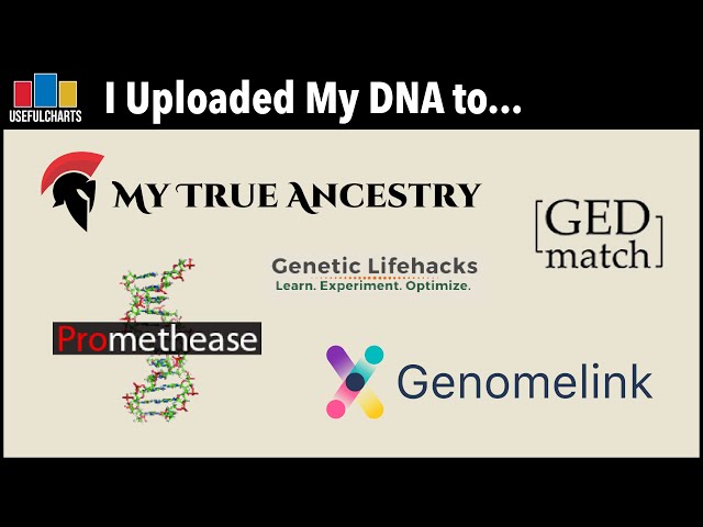 I Uploaded My DNA to Genomelink, My True Ancestry, GEDmatch, Promethease, and Genetic Lifehacks