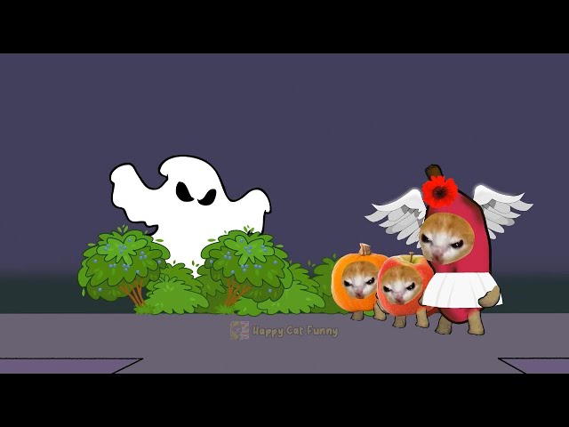 When the cats run into a ghost?!