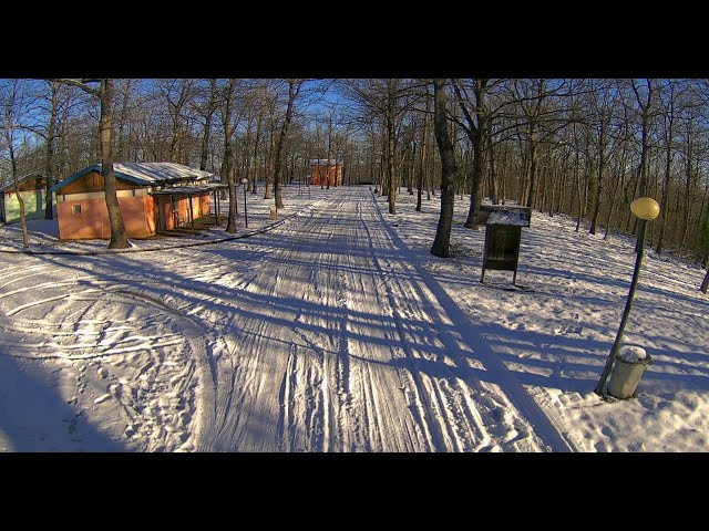 Webcam Campobasso Bosco faiete - Montevairano (CB) © www.turismometeo.it