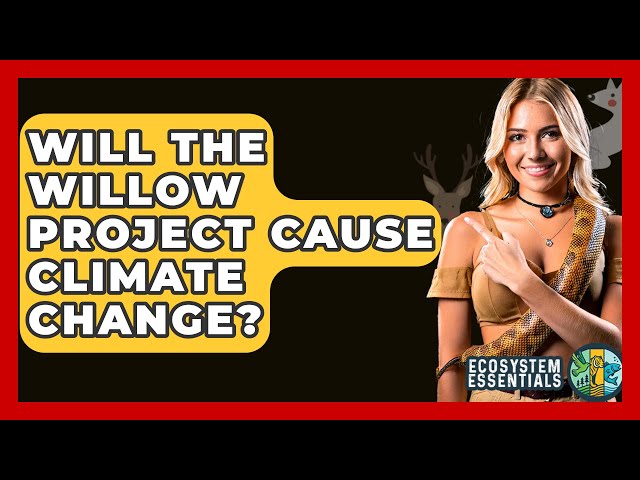 Will The Willow Project Cause Climate Change? - Ecosystem Essentials