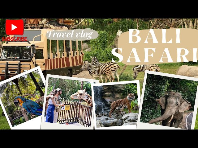 BALI SAFARI PARK | BALI VLOG 1 | TIGER SAFARI THE MOST DANGEROUS ANIMALS | UNBELIEVABLE EXPERIENCE