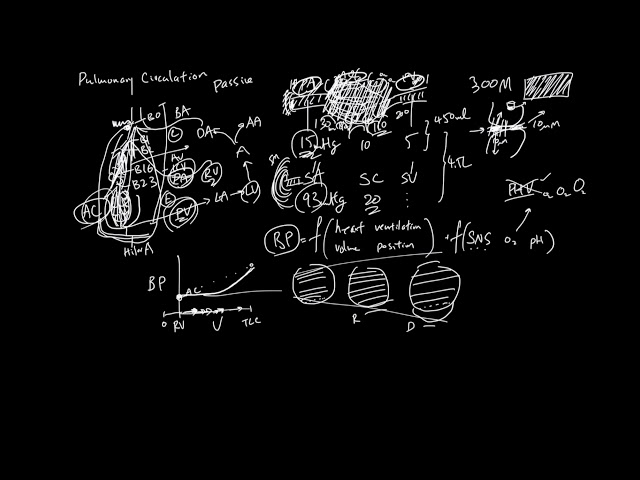 Pulmonary Circulation