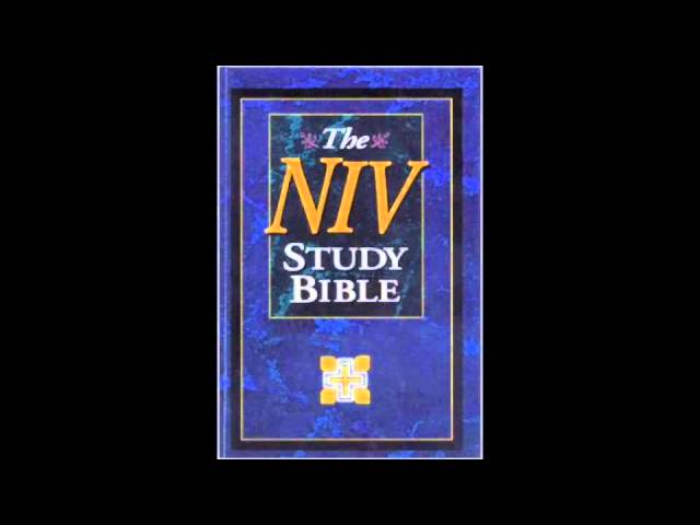 The Book of Proverbs (NIV Audio Bible Non Dramatized)