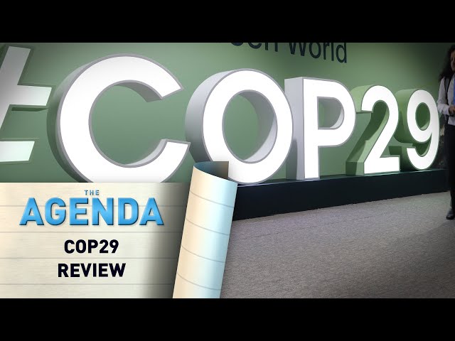 COP29 Review: Progress or Betrayal? The Trillion-Dollar Question on Climate Financing