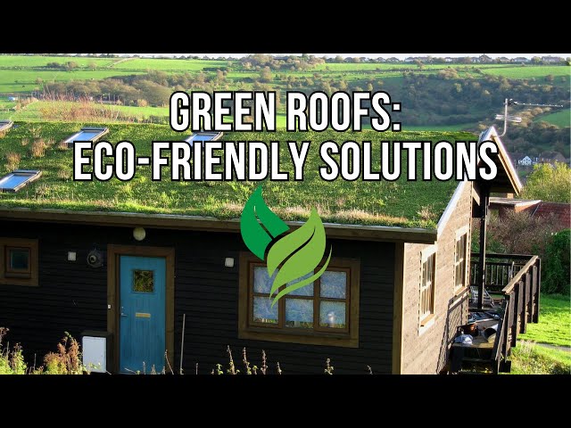 Green Roofs: A Sustainable Solution for Future Cities