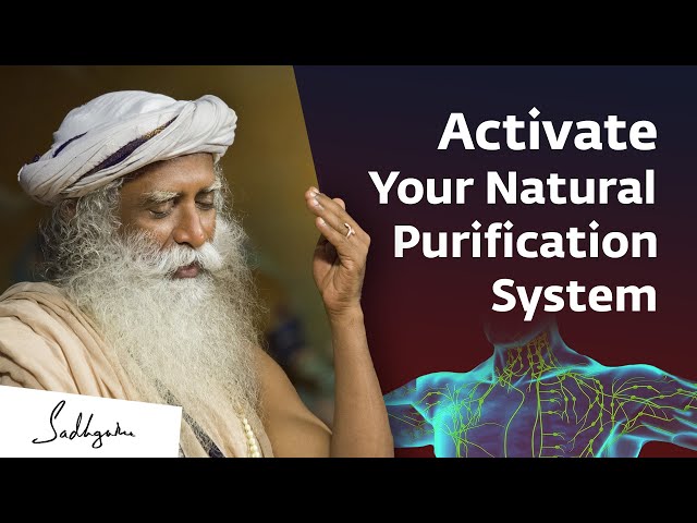 Activate The Body's Natural Purification System