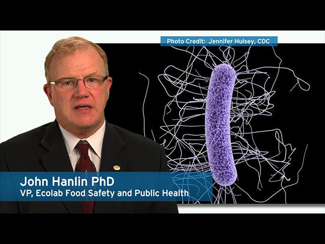 Ecolab Experts on Microbes – Clostridioides difficile