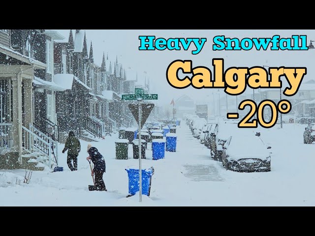 Snowfall and -20° Freezing cold in Calgary Alberta Canada 2024 #Calgary #snow #Canada #Alberta