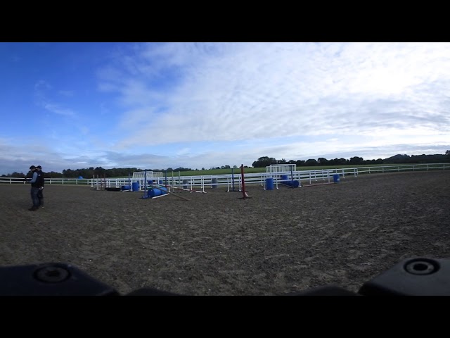 WATCH horses schooling in 360 degrees