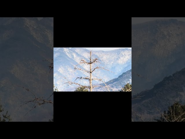 Snowy mountain In Korea