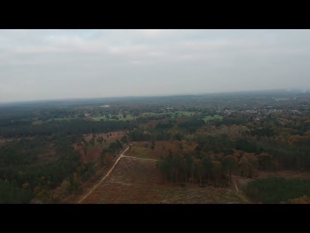 Camberley Swinley Forest 2024