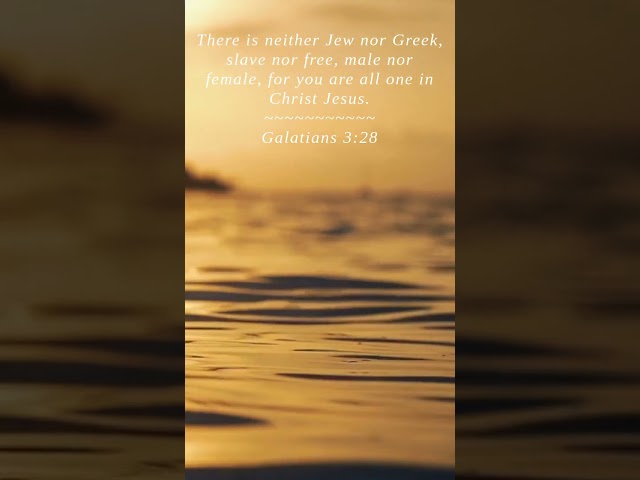 Bible | Galatians 3:28 | There is neither Jew nor Greek...